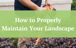 How to properly maintain your landscape | Jernigan Landscaping