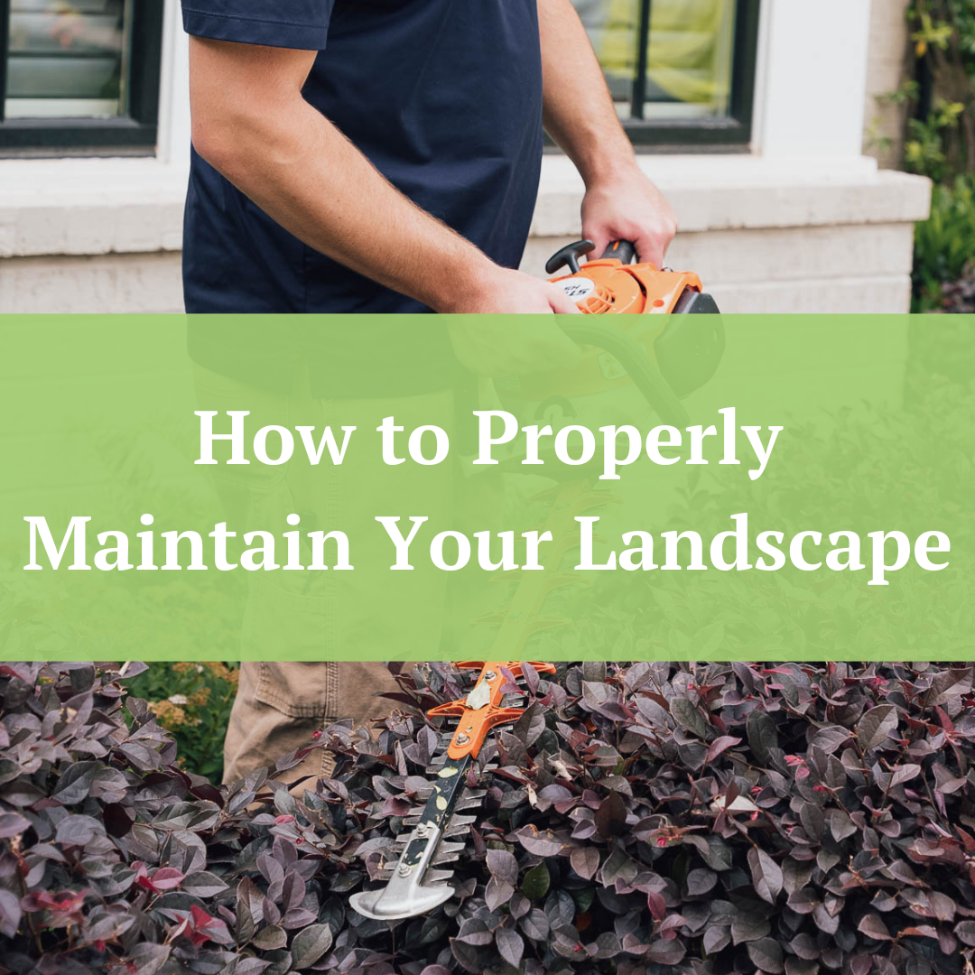 How to properly maintain your landscape | Jernigan Landscaping