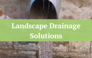 Landscape Drainage Solutions | Jernigan Landscaping