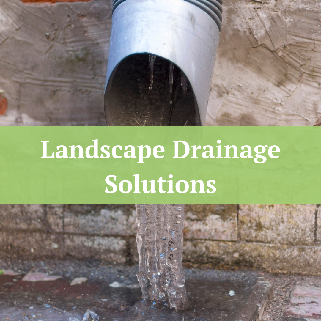 Landscape Drainage Solutions | Jernigan Landscaping