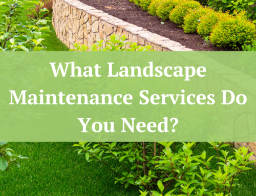 What Landscape Maintenance Services Do You Need?