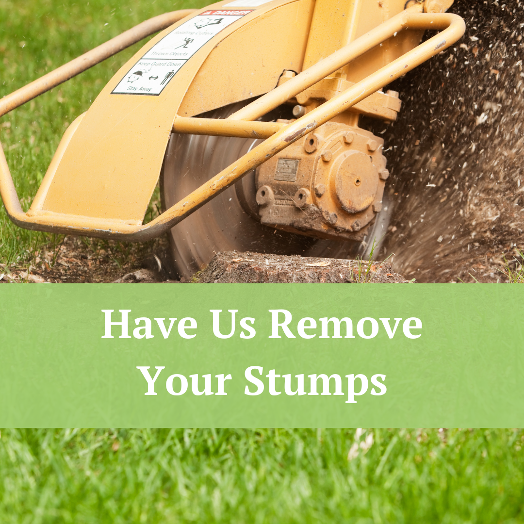 Have Us Remove Your Stumps | Jernigan Landscaping