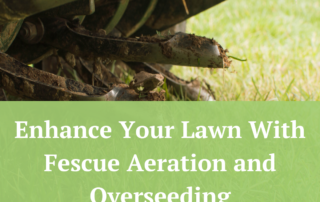 Enhance Your Lawn With Fescue Aeration and Overseeding | Jernigan Landscaping