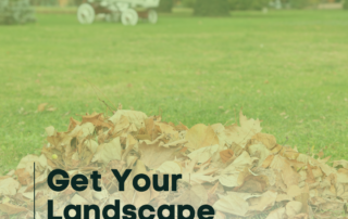 Get Your Landscape Ready for Fall graphic, Jernigan Landscaping, Raleigh NC