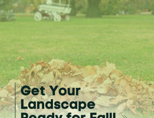 Get Your Landscape Ready for Fall!