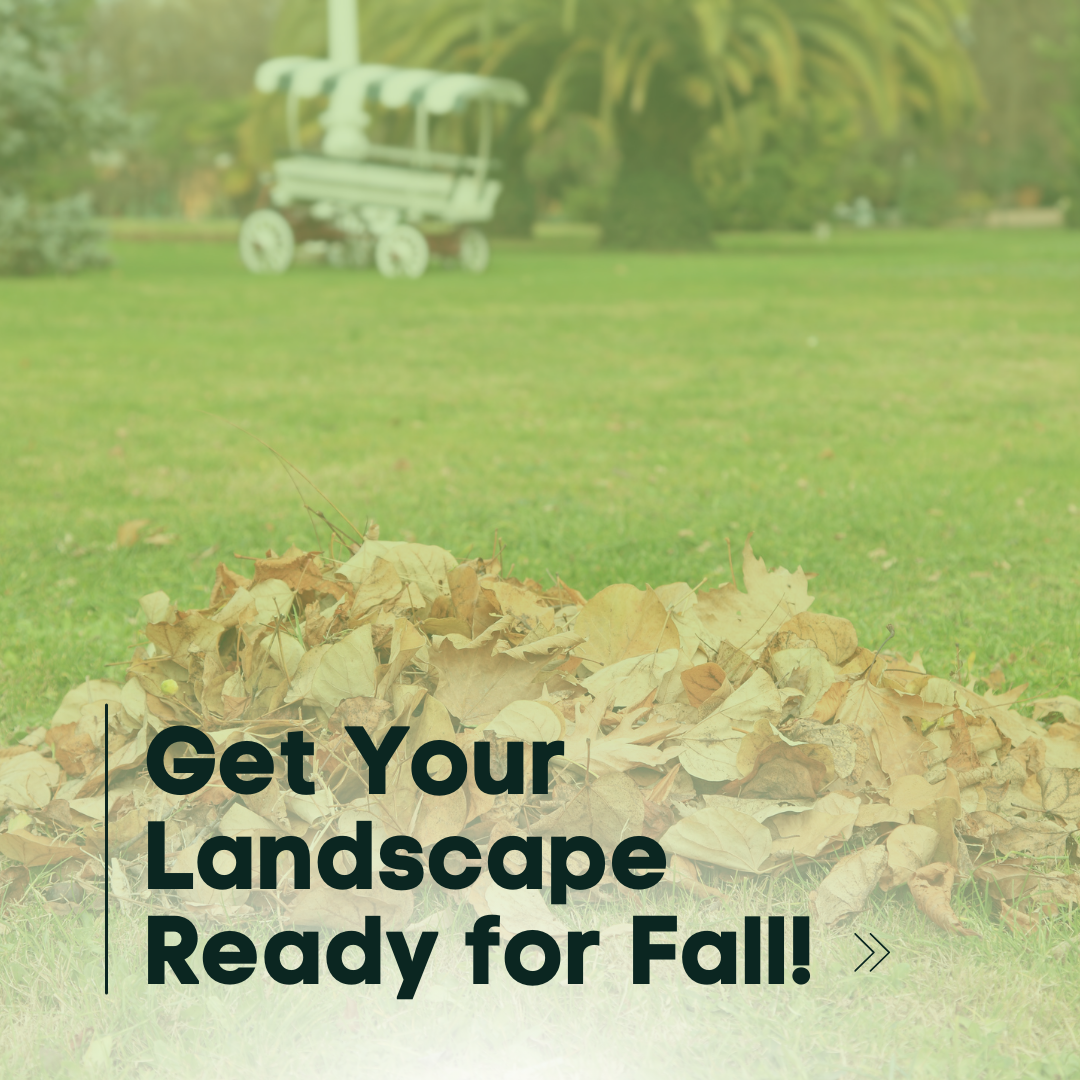 Get Your Landscape Ready for Fall graphic, Jernigan Landscaping, Raleigh NC